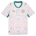 Senegal VM 2026 Hemmatröja Senegal VM 2026 Hemmatröja